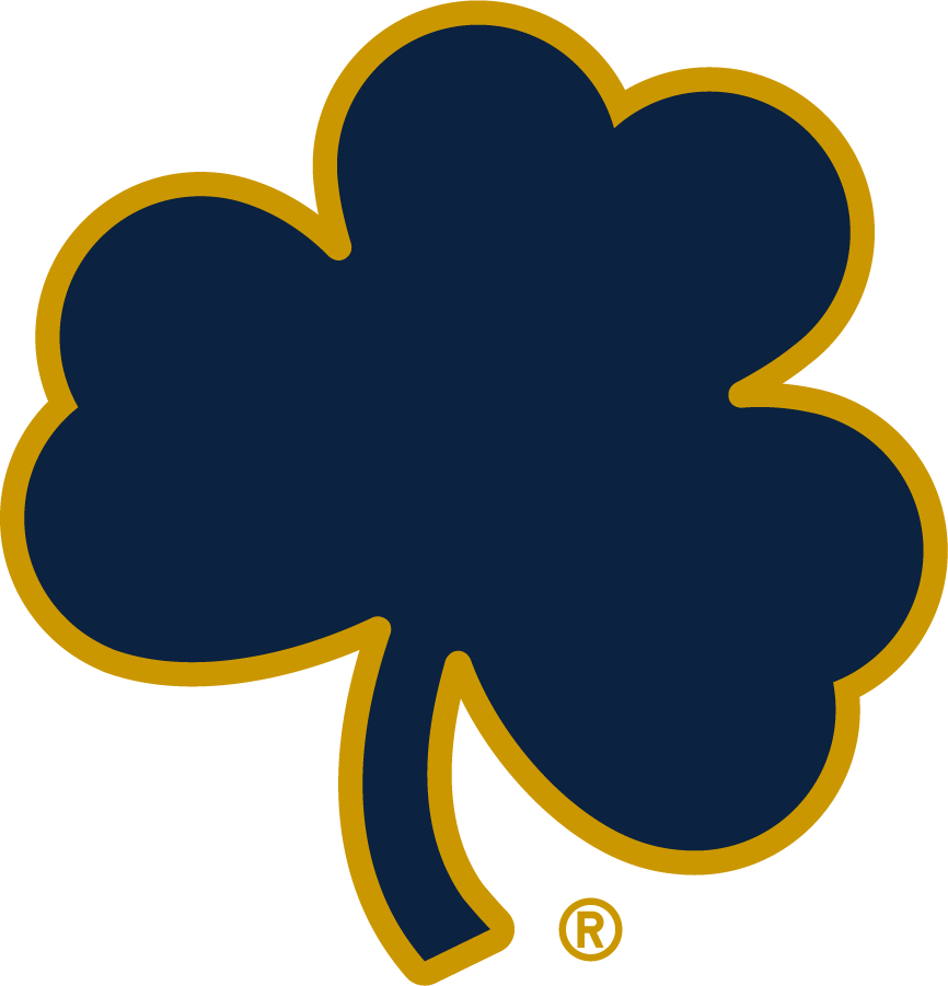 Notre Dame Fighting Irish 2015-Pres Secondary Logo v4 iron on transfers for T-shirts